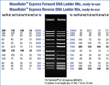 MassRuler™ Express Reverse DNA Ladder Mix, ready-to-use