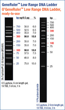 O’GeneRuler™ Low Range DNA Ladder, ready-to-use