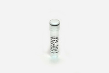 Fast qPCR ProbesMaster highROX, 10 x 1,25 ml (2x conc.)