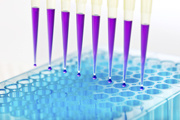 EvaGreen® Fluorescent DNA Stain, 500 µl (100 µM)
