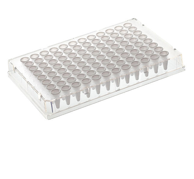 Armadillo PCR Plate, 96-well, blue, white wells, barcoded