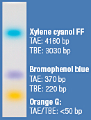 6X TriTrack™ DNA Loading Dye