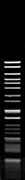 Mva1269I (BsmI)