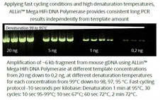 ALLin™ Mega HiFi DNA Polymerase, 2 u/µl