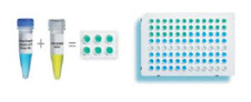 Luminaris HiGreen Fluorescein qPCR Master Mix