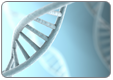 Genomic DNA Purification Kit