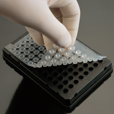SEALING MAT FOR PCR PLATES