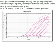 ORA™ qPCR Probe ROX L Mix