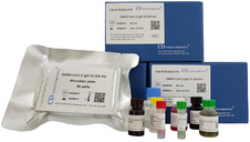 SARS-COV-2 Total Antibody ELISA Kit , 96T