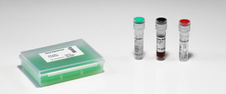 Taq Polymerase /Labeling Buffer