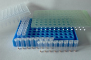 One-Step RT-PCR Master Lyophilisate (960 reactions x 20 µl