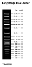 Fluorescent Long Range DNA Ladder 5 x 500 µl (205 ng/µl)