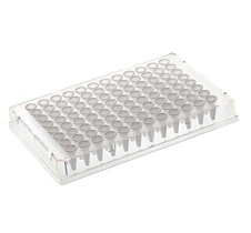 Armadillo PCR Plate, 96-well, yellow, clear wells, barcoded