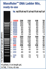 MassRuler™ DNA Ladder Mix, ready-to-use
