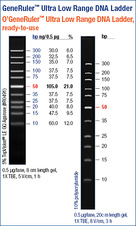 GeneRuler™ Ultra Low Range DNA Ladder