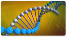 DreamTaq DNA Polymerase