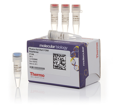 Phusion Hot Start II DNA Polymerase (2 U/µL)