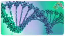 DNA Polymerase I