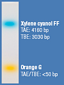 6X Orange DNA Loading Dye
