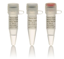 Maxima™ H Minus cDNA Synthesis Master Mix