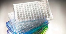 Armadillo PCR Plate, 96-well, blue, semi-skirted, low profile, clear wells, barcoded