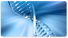 Jurkat Genomics DNA