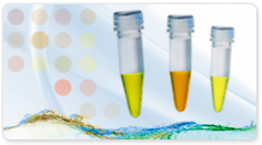 Luminaris Color Probe High ROX qPCR Master Mix