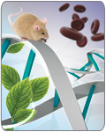 GeneJET™ Whole Blood Genomic DNA Purification Mini Kit