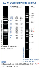 phiX174 DNA/BsuRI (HaeIII) Marker, ready-to-use