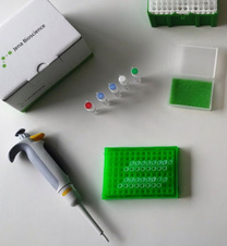 Mycoplasma Detection Kit