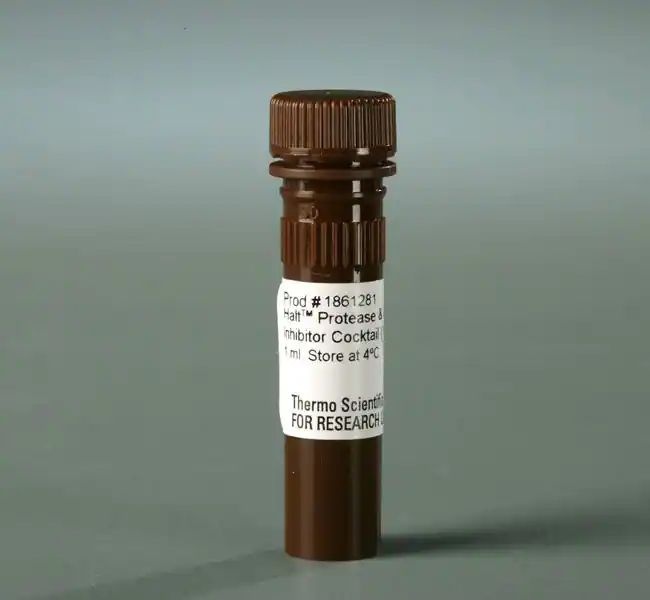 Halt™ Protease and Phosphatase Inhibitor Cocktail, EDTA-free (100X)