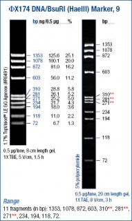 phiX174 DNA/BsuRI (HaeIII) Marker
