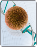 Wash Buffer 1 (conc.) for MagJET gDNA Kit