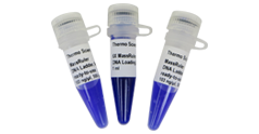 MassRuler™ DNA Ladder Mix, ready-to-use