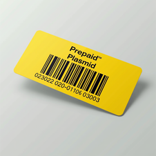 Přeplacený barcode pro sekvenování plazmidu