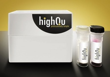 ALLin™ Hot Start Bst Polymerase 