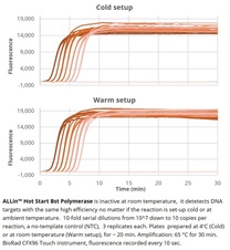 ALLin Hot STart Bst Polymerase_800x800 (1)
