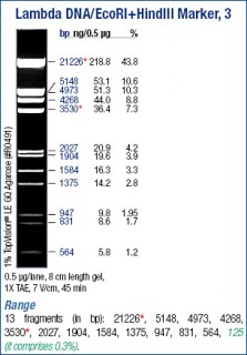 Lambda DNA/EcoRI+HindIII Marker, ready-to-use