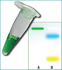 Maxima Hot Start Green PCR Master Mix (2X)