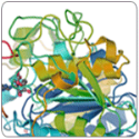 Uracil-DNA Glykosyláza
