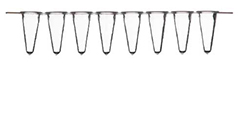 Strips of 8 White Low Profile Tubes