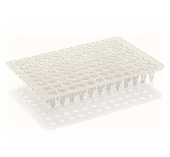 96-Well, Low Profile, PCR Plate, Non-Skirted