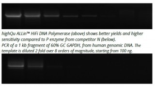 ALLin™ Hifi DNA Polymerase