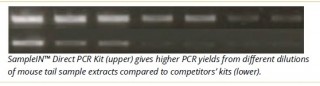 SampleIN™ Direct PCR Kit