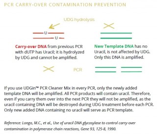 UDGin PCR Cleaner Mix, 20x