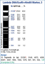 Lambda DNA/EcoRI+HindIII Marker