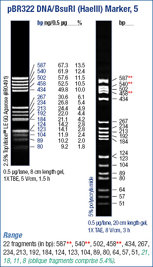 pBR322 DNA/BsuRI (HaeIII) Marker