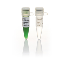 Phusion U Green Multiplex PCR Master Mix