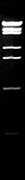 NotI, HC