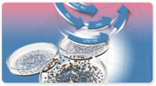 TransformAid™ Bacterial Transformation Kit